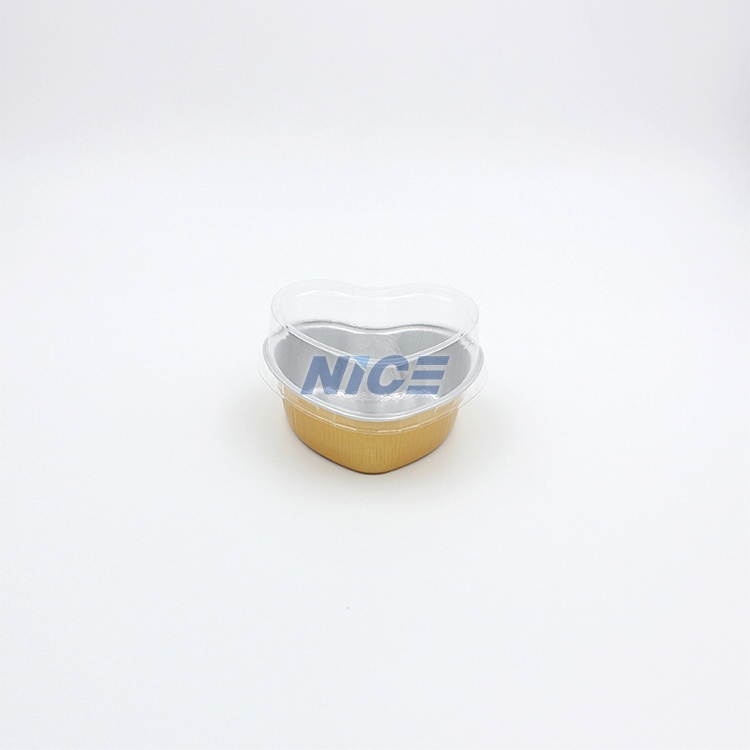 XͿ/Ɑ N100C 2